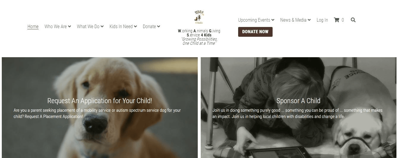 利基市場範例之寵物飼養者 利基市場範例之寵物飼養者